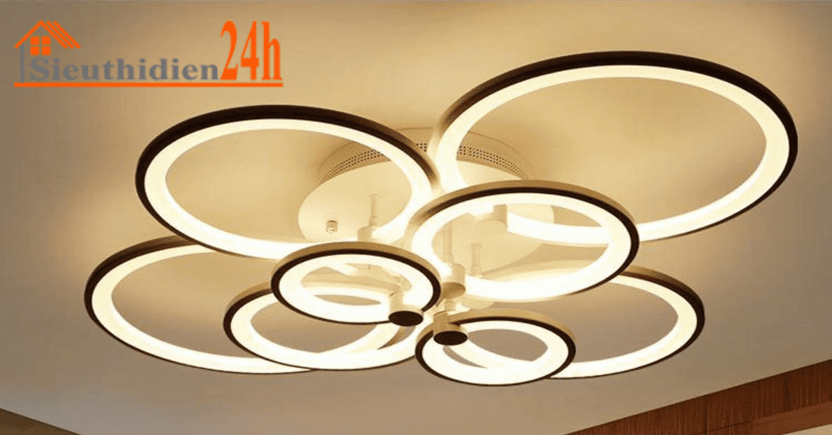 phong cách Nhật Bản XTE253