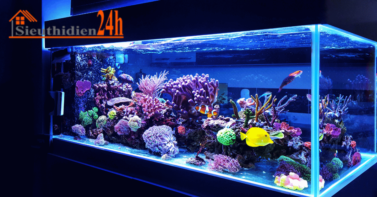 Các Loại Đèn Led Được Sử Dụng Phổ Biến