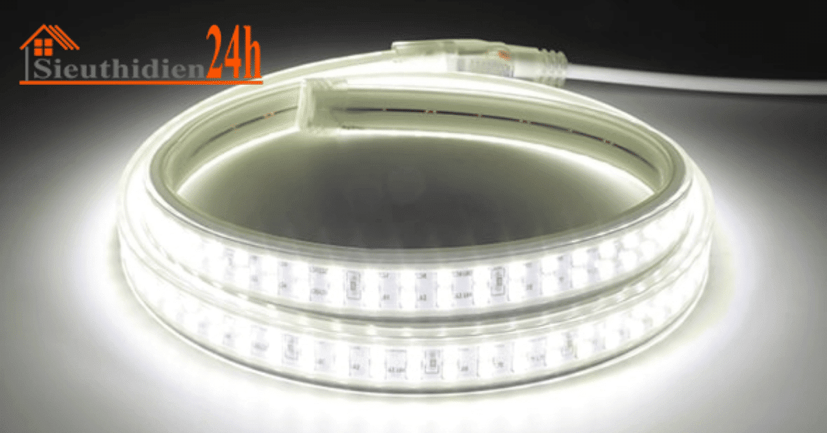 Đèn LED dây 2 hàng bóng