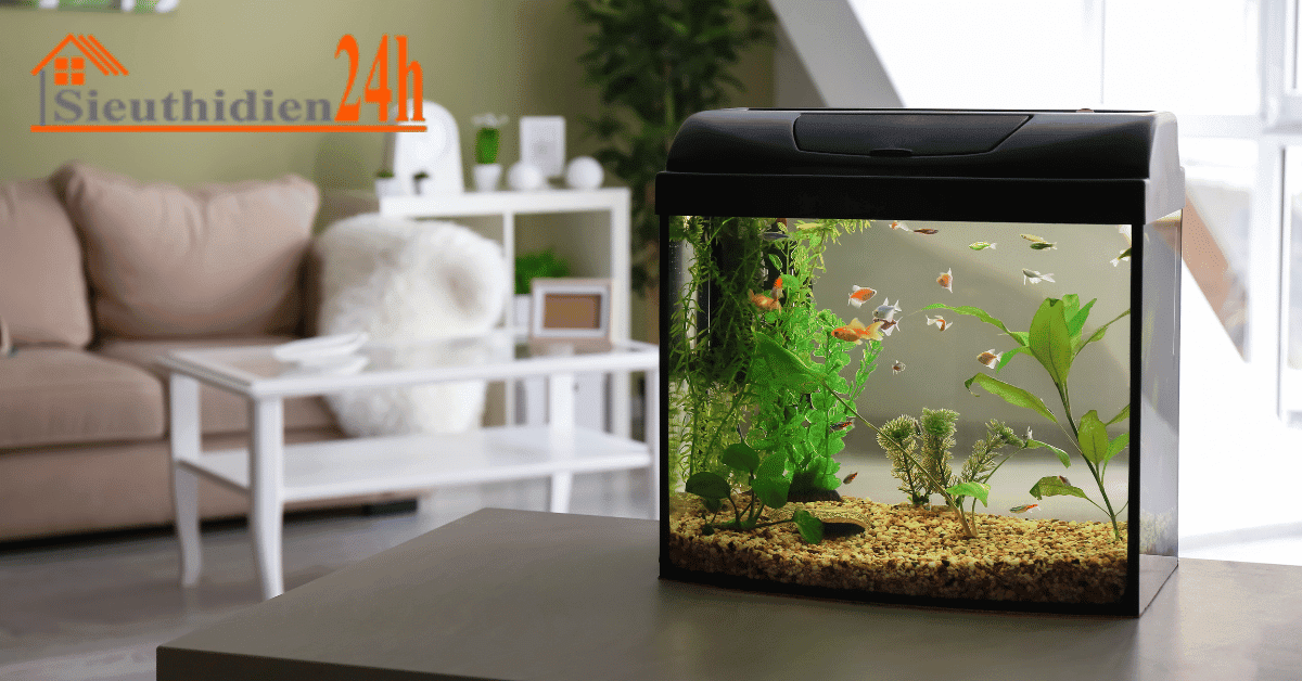 Những Lưu Ý Khi Chọn Lựa Chọn