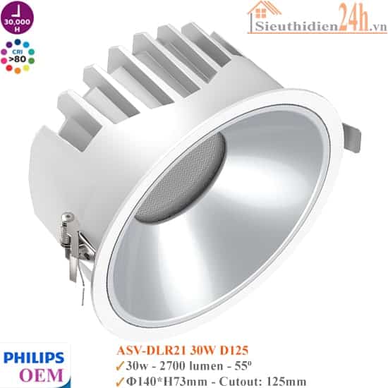 Đèn Spotlight Âm Trần Philips OEM ASV-DLR21 30W